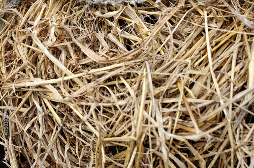 Texture of dry yellow hay, dry grass background