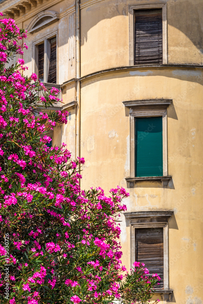 Historic facade of an old house with flowers, Croatia, Europe.