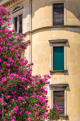Historic facade of an old house with flowers, Croatia, Europe. © Viliam