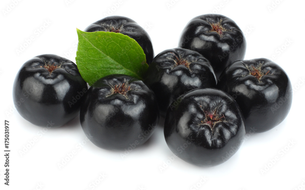Chokeberry with leaf isolated on white background. Black aronia Chokeberry with leaf isolated on white background. Black aronia