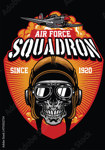 pilot air force squadron