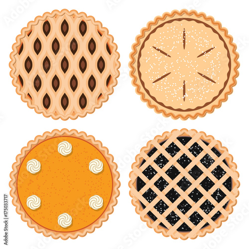 vector set of homemade berry,fruit and pumpkin pies