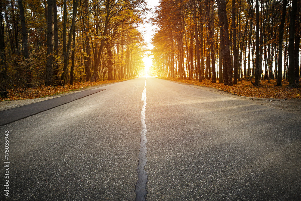 Obraz premium autumn road 