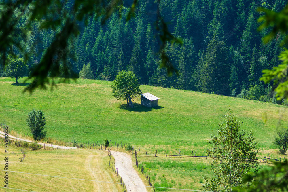Fototapeta premium Mountain Zlatar