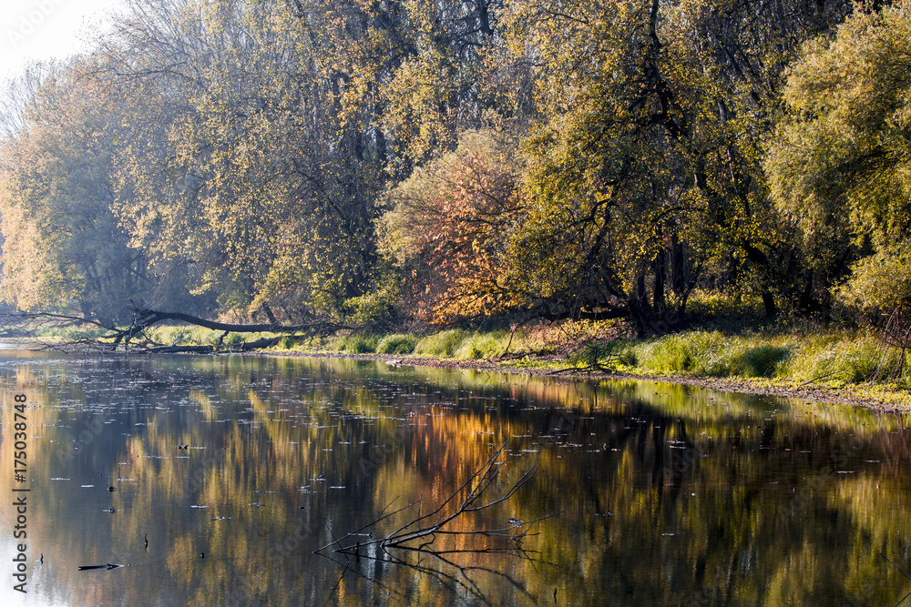 Autumn landscape. Composition of nature. Autumn landscape. Composition of nature.
