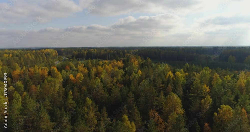 Aerial View. Flying over the beautiful autumn trees in forest. Aerial camera shot. Autumn / Fall landscape. Aerial View. Flying over the beautiful autumn trees in forest. Aerial camera shot. Autumn / Fall landscape.
