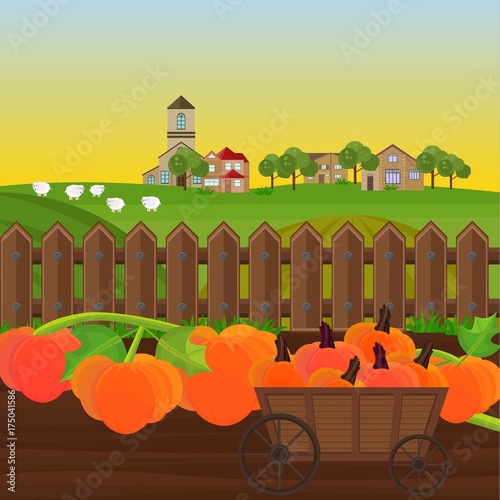 Pumpkin harvest in a cart garden Vector. Countryside backgrounds illustrations