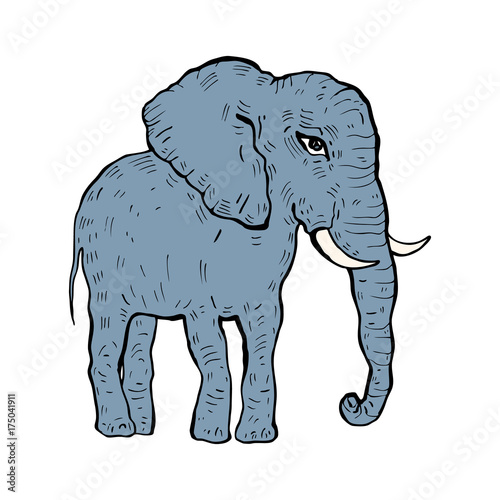 Elephant. Vector illustration © katyau