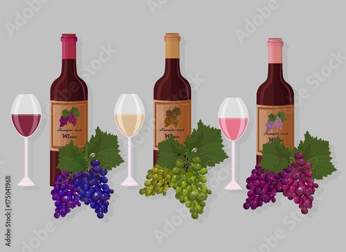 Wine bottles sets Vector. White wine, rose, chardonet and grapes