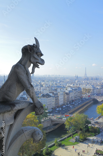 Aerial view of Paris © ryanking999
