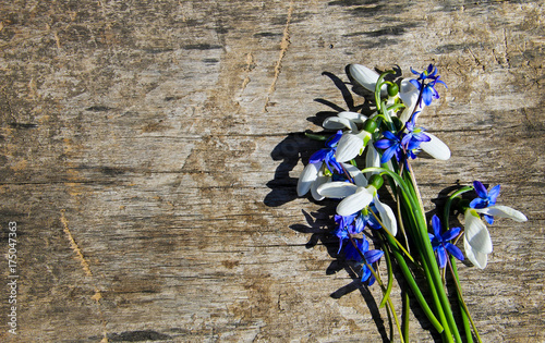 Bouquet of first spring flowers on wooden background