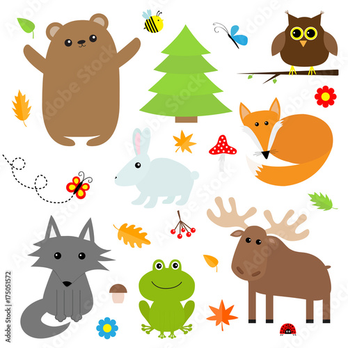 Forest animal insect set. Bear hare fox moose owl ladybug bee butterfly frog wolf fir tree leaf flower mushroom. Kids education cards. White background. Isolated. Flat design