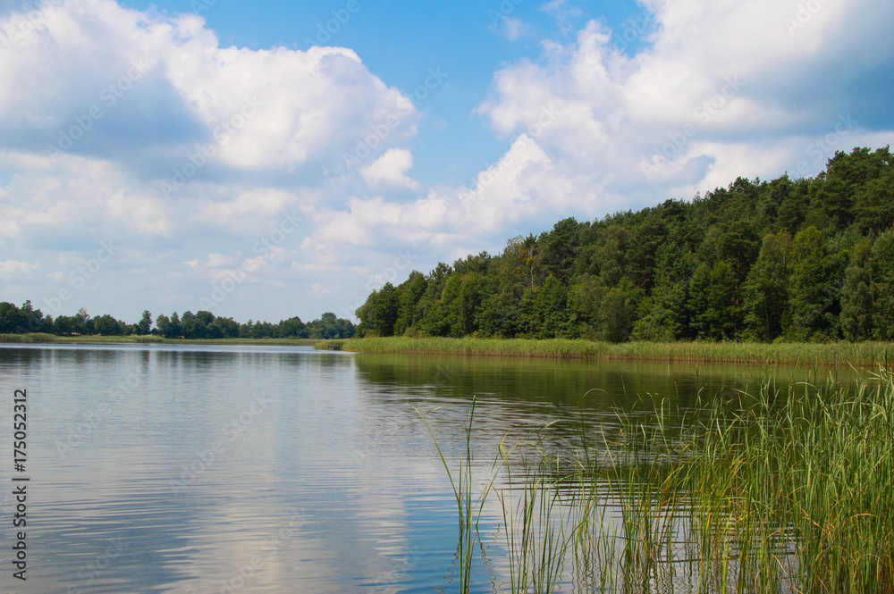 Thick green forest with lake from above. A wonderful summer day. Poland Thick green forest with lake from above. A wonderful summer day. Poland
