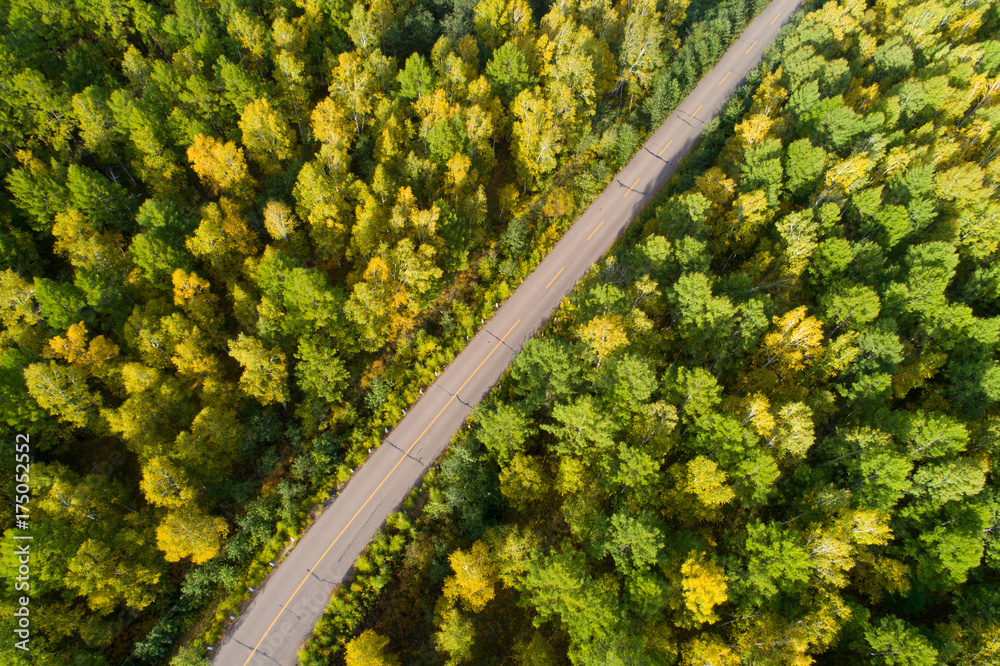 Fototapeta premium aerial shot of trail in colorful autumn forest