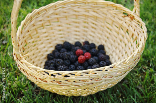 Blackberries in a basket