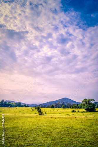 Beautiful Landscape at Sunset photo