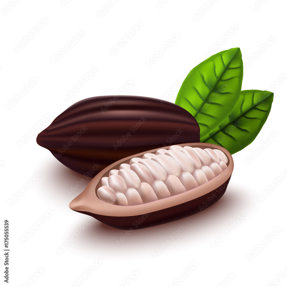 Obraz premium Realistic 3d Cocoa Beans Set. Vector