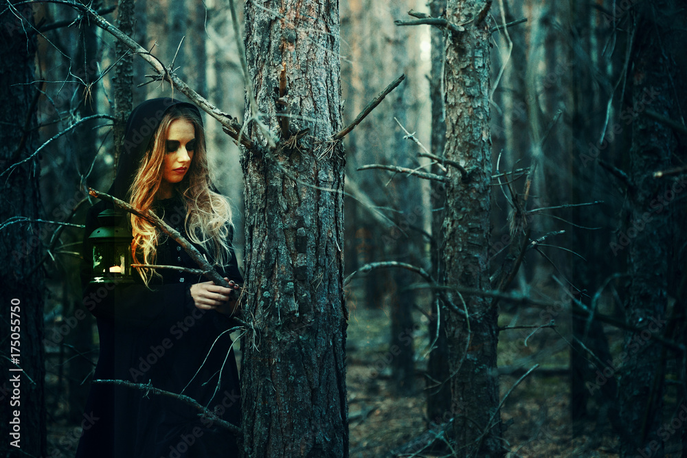 Fototapeta premium Halloween. beautiful girl in a black dress in the forest