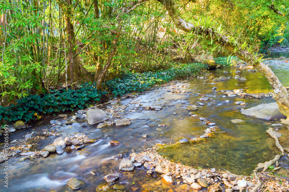 Obraz premium Mountain river in Khao Sok National Park in Thailand