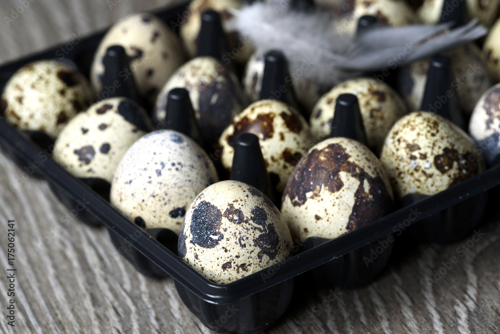 Obraz premium Quail eggs