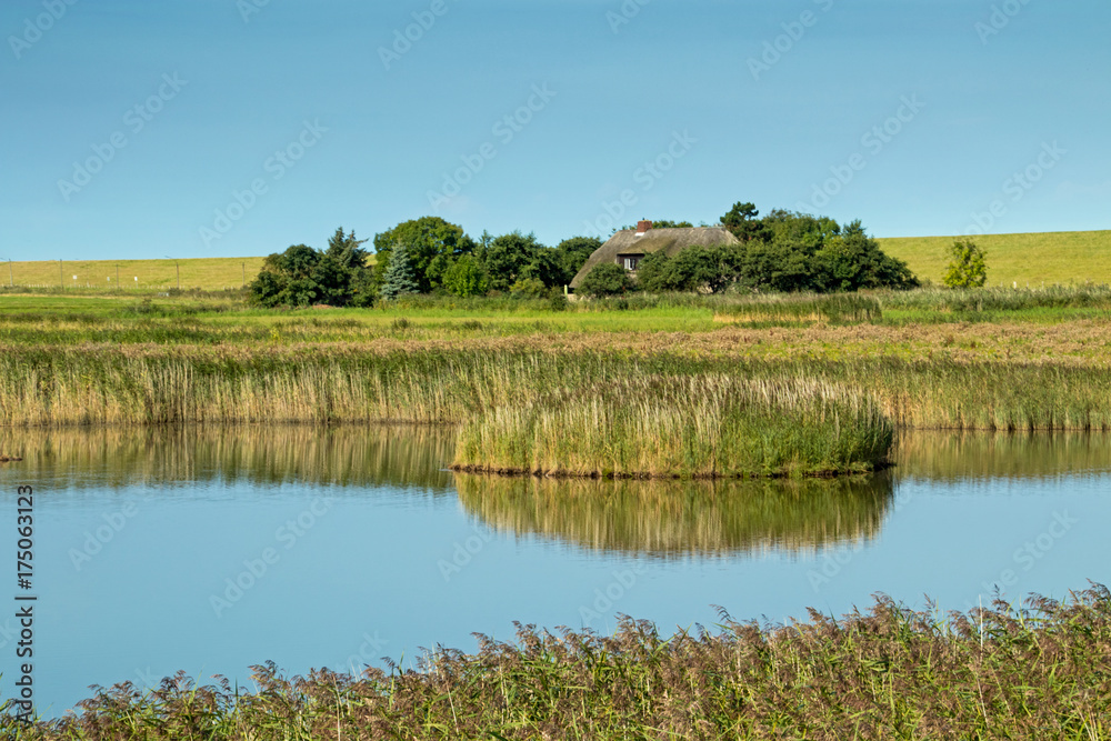 Nordseeland bei St. Peter- Ording