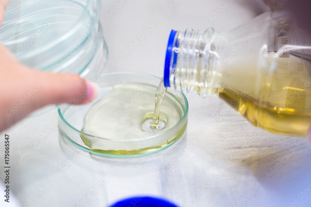 Scientist performing microbial tests in Biological safety cabinets lab. Scientist performing microbial tests in Biological safety cabinets lab.