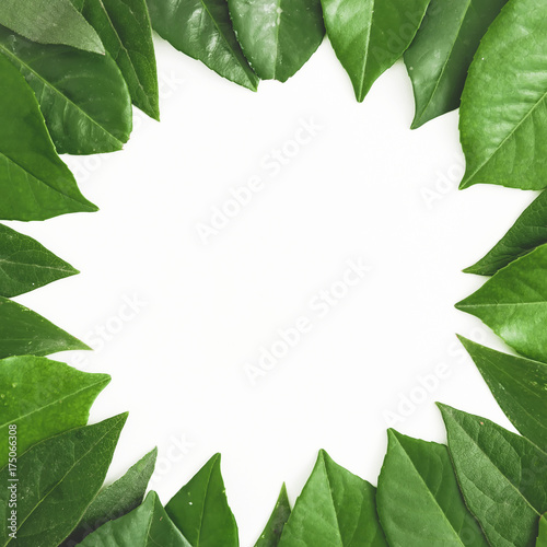 Round frame made of tropical green leaves. Creative layout of leaves on white background. Flat lay. Top view © artifirsov