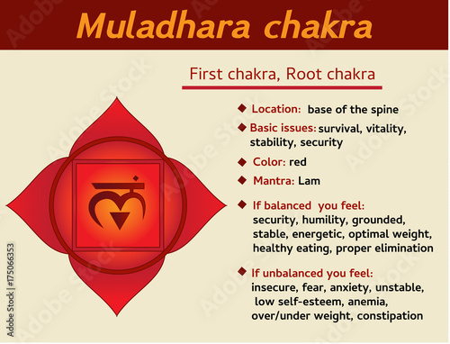 Muladhara chakra infographic. First, root chakra symbol description and features. Information for kundalini yoga