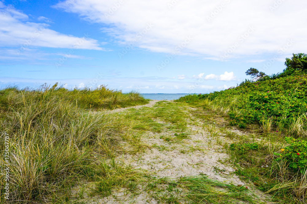Weg zum Strand Weg zum Strand