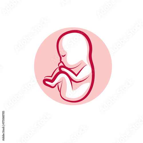 Human fetus hand-drawn vector illustration isolated on white. New life conceptual symbol.