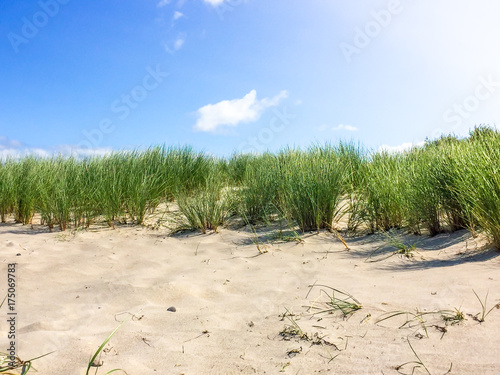 Ostsee Dünen