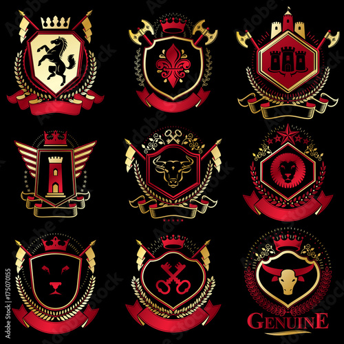 Vector classy heraldic Coat of Arms. Collection of blazons stylized in vintage design and created with graphic elements, royal crowns and flags, stars, towers, armory, religious crosses.