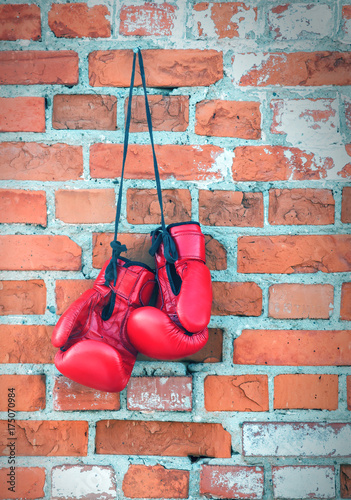 pair of red boxing gloves © Volodymyr Shevchuk