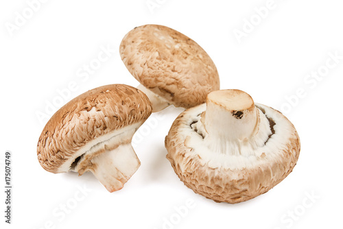 three raw common mushrooms