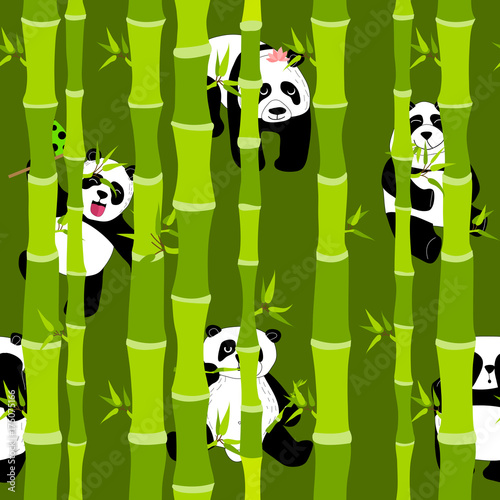 Fototapeta Naklejka Na Ścianę i Meble -  Cute and funny pandas in the green bamboo forest.
