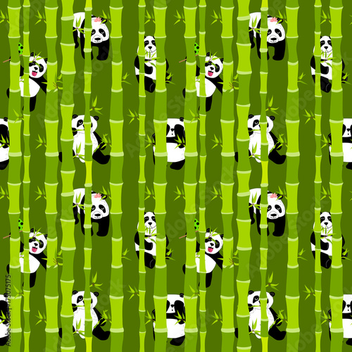 Fototapeta Naklejka Na Ścianę i Meble -  Cute and funny pandas in the green bamboo forest.