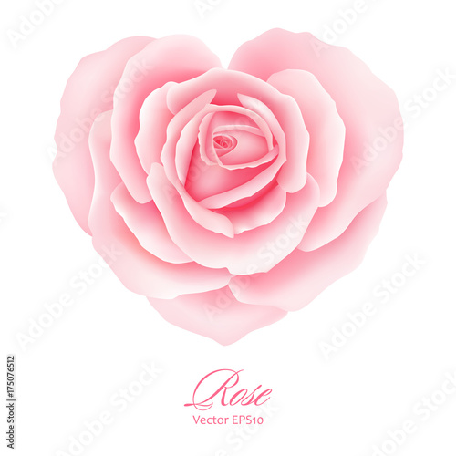 Rose flower in heart shape. Vector illustration