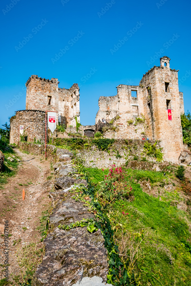 Le château de Laguépie à Saint-Martin-Laguépie