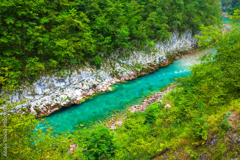 The river flows diagonally. Tara River Canyon. Durmitor National Park. Montenegro. - obrazy, fototapety, plakaty 