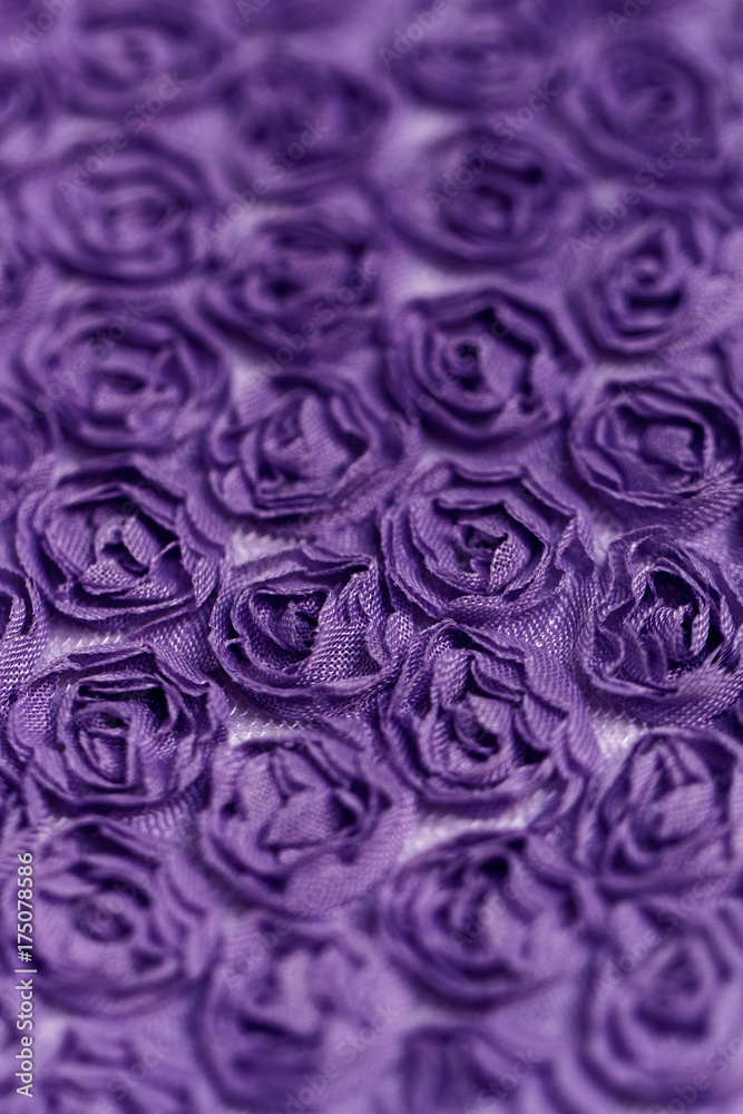 Purple rose background Stock Photo | Adobe Stock