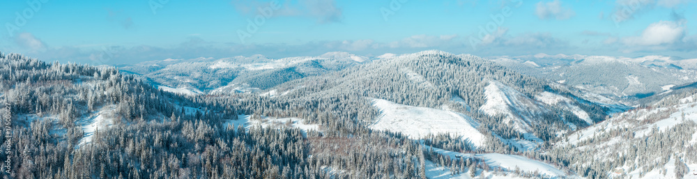 Winter Carpathian Mountains panorama.