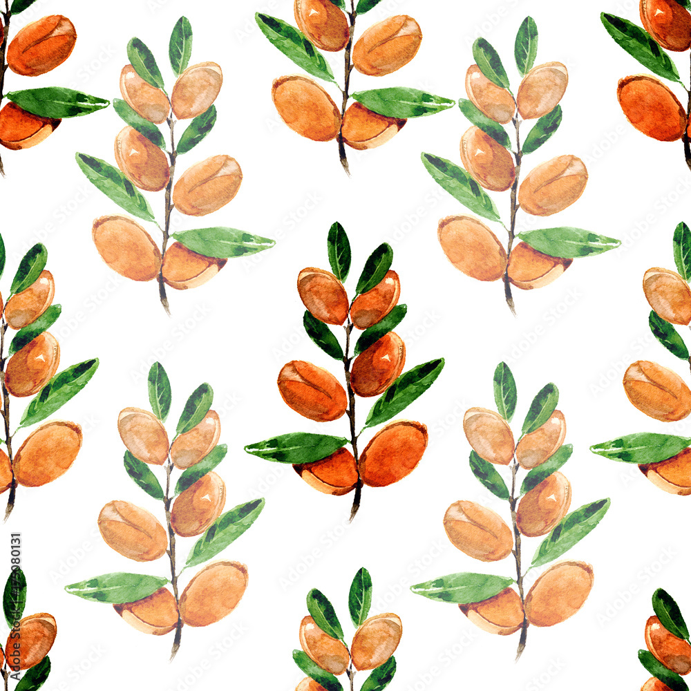 Watercolor seamless pattern with branches of argan on white background.
