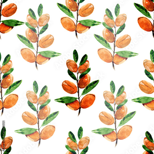 Watercolor seamless pattern with branches of argan on white background. © Julia Poleeva