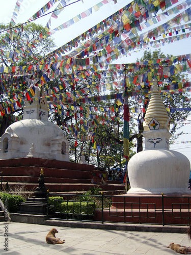 Monkey Tempel 03