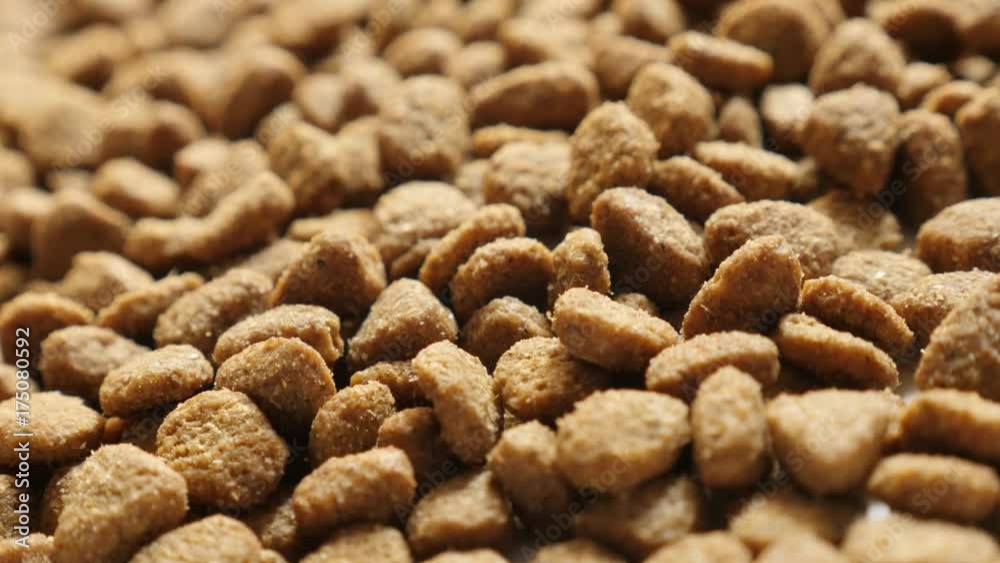 Slow tilt brown pet dry food close-up - Shallow DOF pile of cat or dog pellet meal Slow tilt brown pet dry food close-up - Shallow DOF pile of cat or dog pellet meal