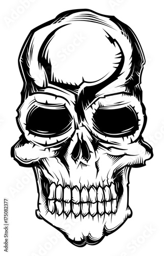 Monochrome illustration of skull isolated on white background