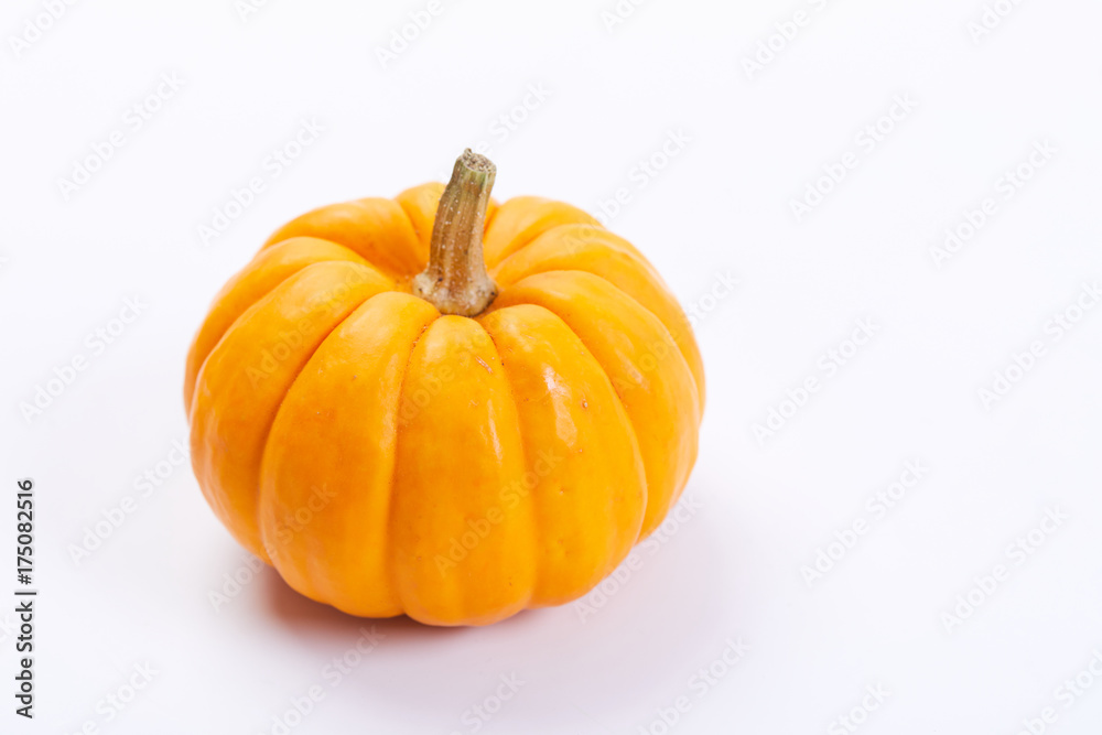 fresh pumpkins fresh pumpkins