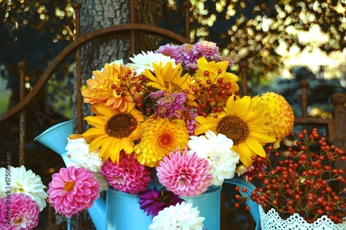 Fototapeta Naklejka Na Ścianę i Meble -  Bunter Blumenstrauß mit Dahlien und Sonnenblumen im Spätsommer - Sommer Herbst Grußkarte