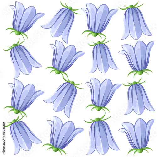 Bell-flowers Campanula - Hand drawn vector illustration of blue bell flowers and buds on white background. Colorful flowers icons set. Vector isolated floral elements.