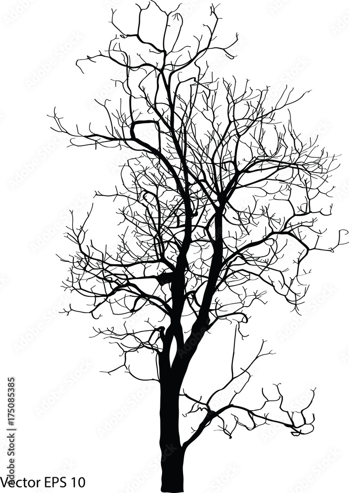 Dead Tree without Leaves Vector Illustration Sketched, EPS 10.